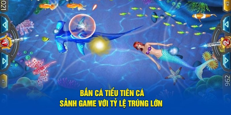 ban-ca-tieu-tien-ca-luu-y