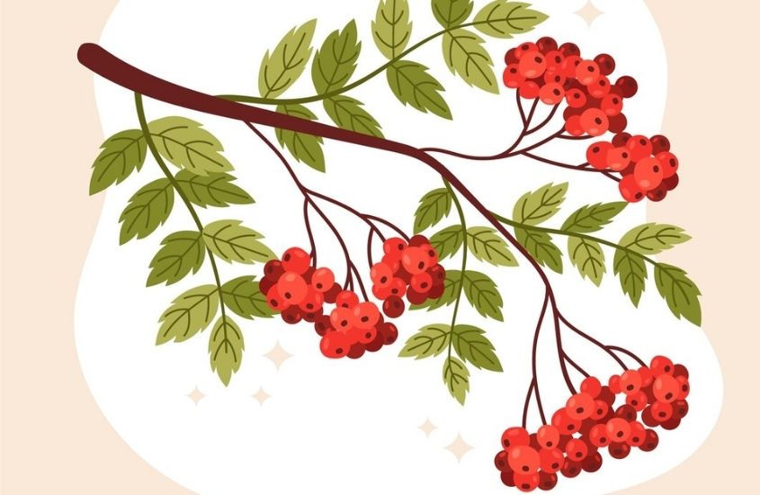 Mẹo dân gian giúp trẻ ngủ sâu giấc, đơn giản dễ thực hiện
