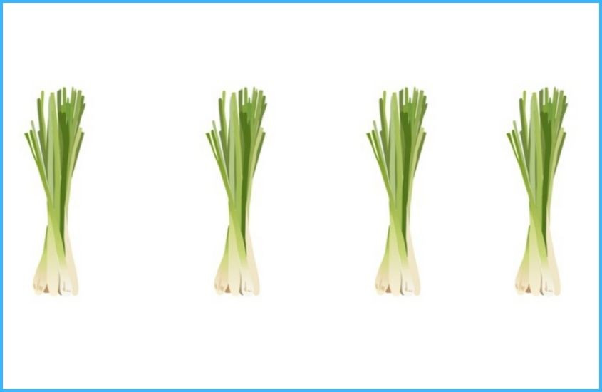 Khử mùi ẩm mốc trong phòng ngủ bằng 6 nguyên liệu tự nhiên