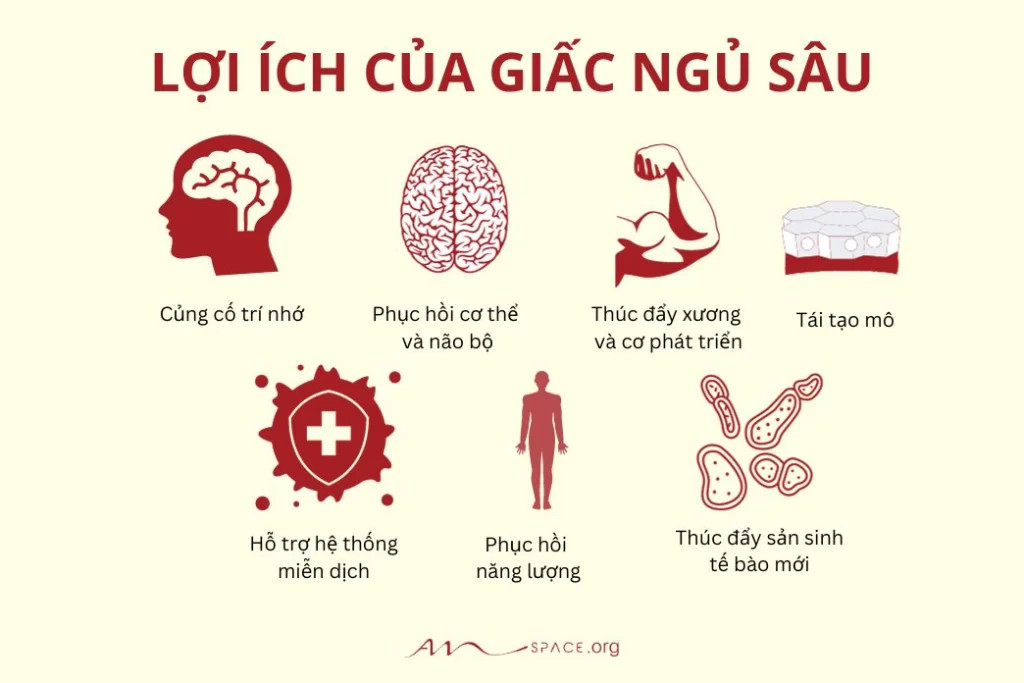 7 Cách Ngủ Sâu Giấc Tự Nhiên Và Hiệu Quả