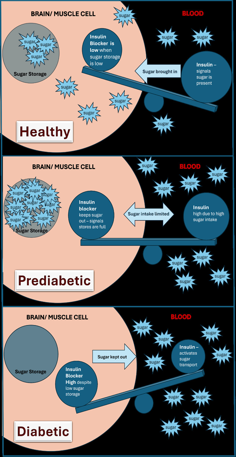 Why Poor Sleep Puts You at Risk for Metabolic Disease