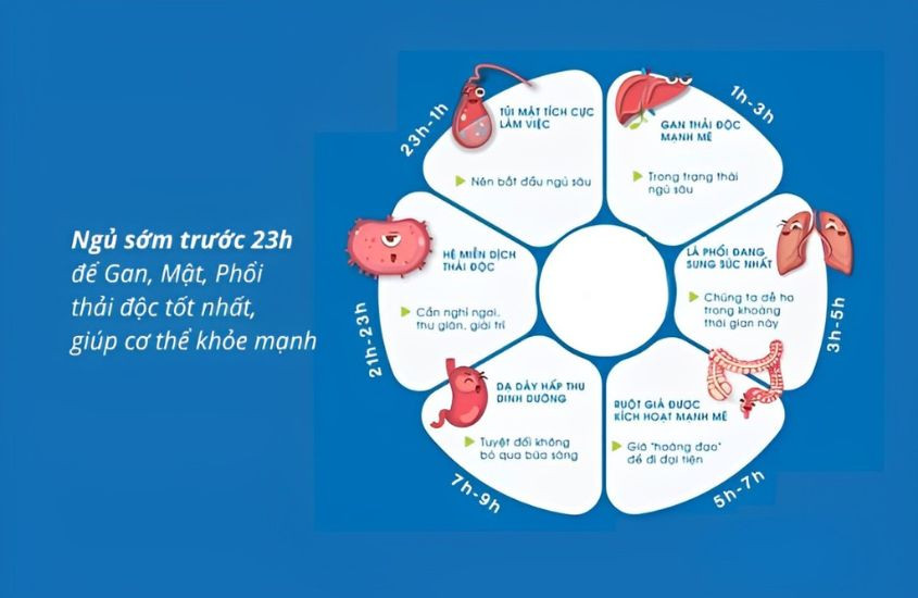 Ngủ sớm có tác dụng gì? 7 lợi ích tuyệt vời từ việc ngủ sớm