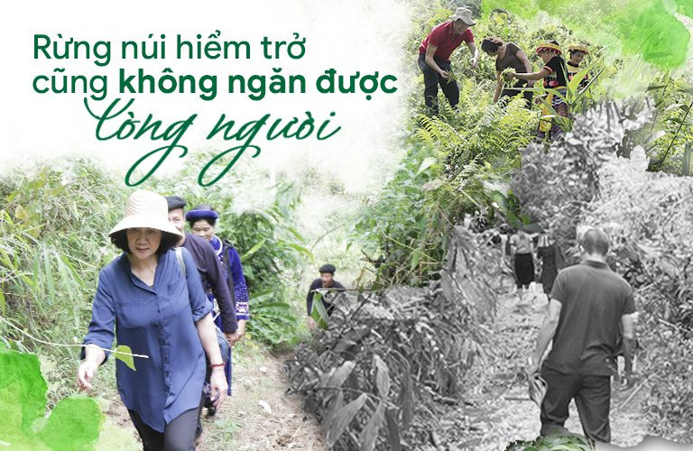 Giấc Ngủ Ngon Nhờ Bài Thuốc Đình Tâm An Thần Thang: Khám Phá Từ Nguồn Gốc Đến Hiệu Quả Thực Tế