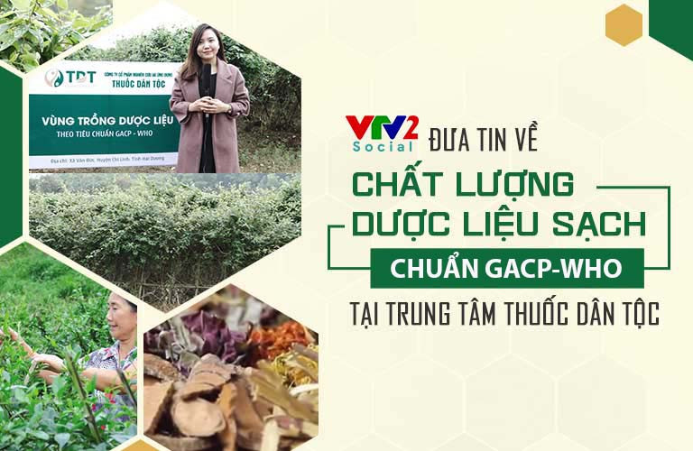 Cách Chữa Mất Ngủ Hiệu Quả Từ YHCT Tại Trung Tâm Thuốc Dân Tộc