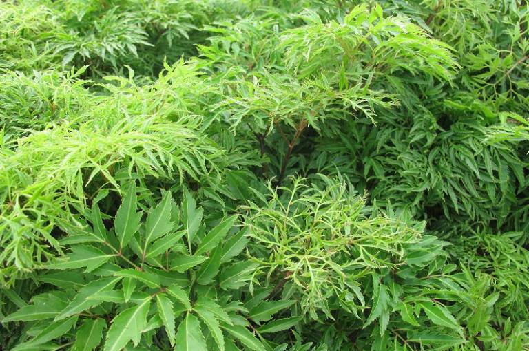 10 Cách Trị Mất Ngủ Tại Nhà Đơn Giản, An Toàn