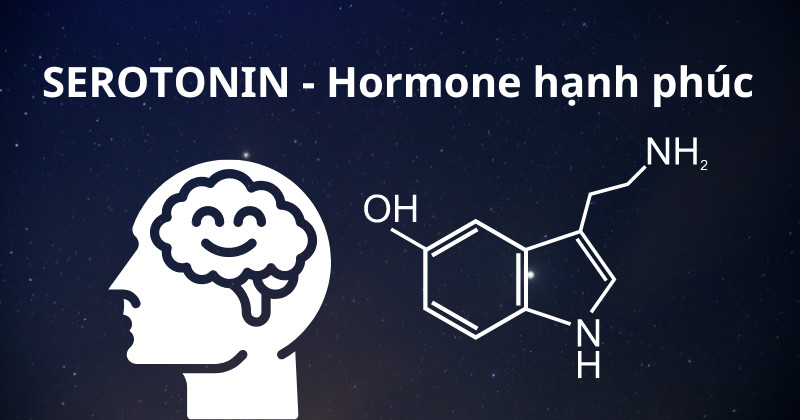 **Serotonin: Hormone Hạnh Phúc và Vai Trò Quý Giá Với Giấc Ngủ**