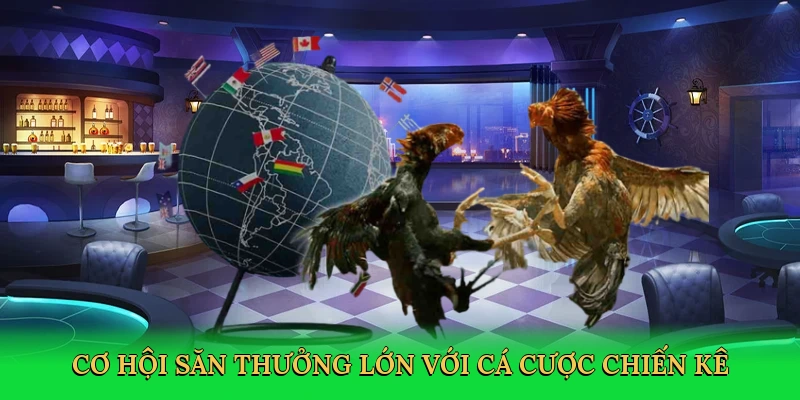 Cơ hội săn thưởng lớn với cá cược chiến kê